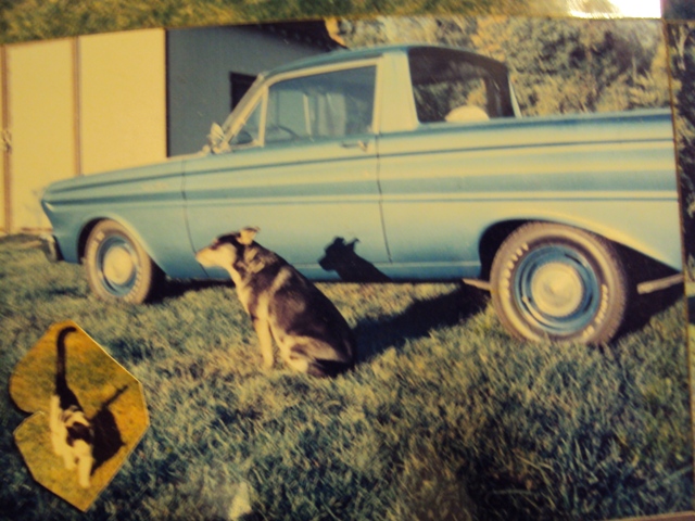 Cars n bikes 005.JPG