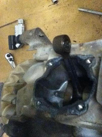 Nice Cases, and uncut